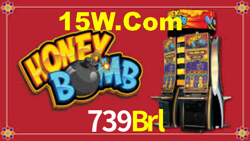 739Brl